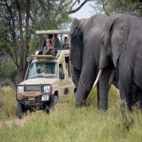 Experience Best Tours and Safaris in Tanzania