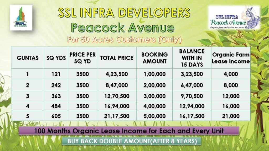 Peacock Avenue – Farm Land for Sale Near Sadasivpet